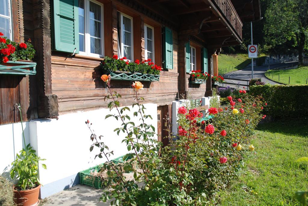 Chalet Tuftbach Apartment Grindelwald Exterior photo